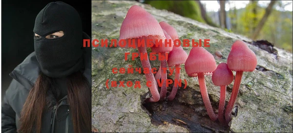 прущий лед Заводоуковск