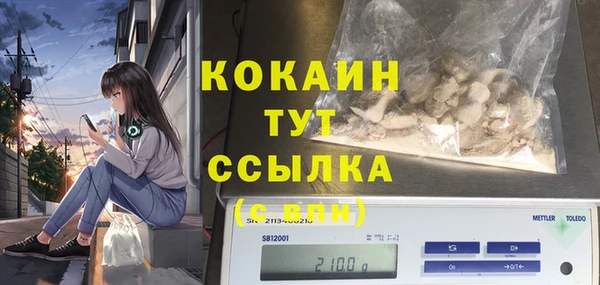 эйфоретик Сафоново