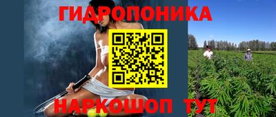 мескалин Камышлов