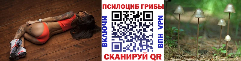цены наркотик  darknet как зайти  Псилоцибиновые грибы мухоморы  Свободный 