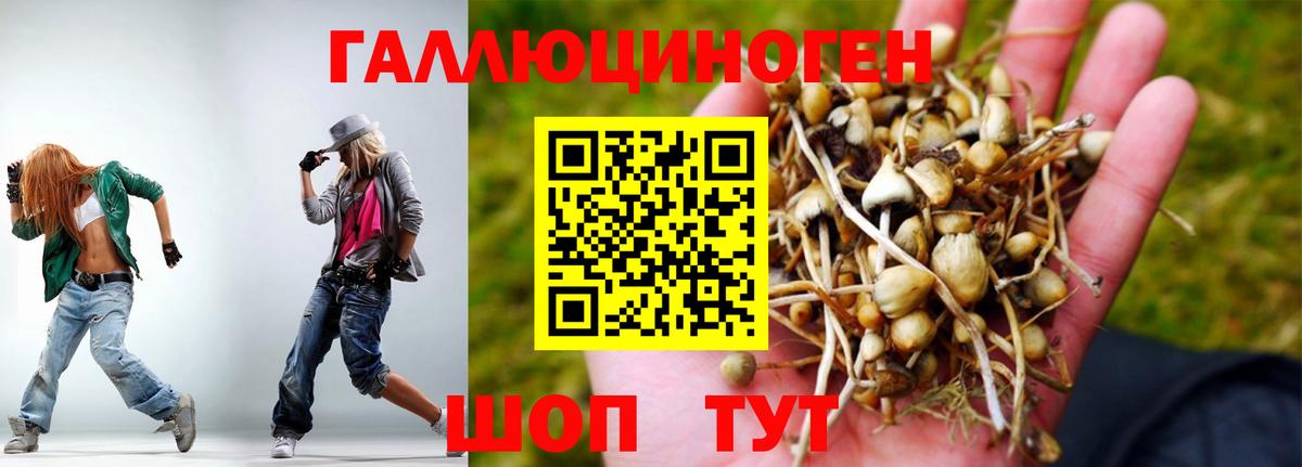 Галлюциногенные грибы GOLDEN TEACHER Свободный
